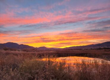 Redmond Lake Waterfowl hunting