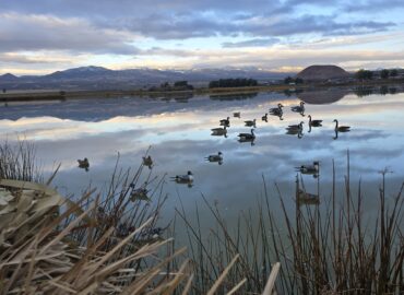 Redmond Lake Waterfowl hunting