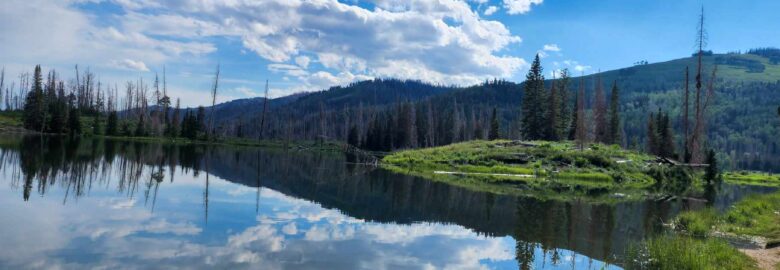 Potters Ponds