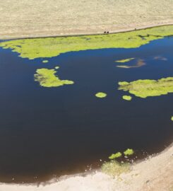 Big Lake