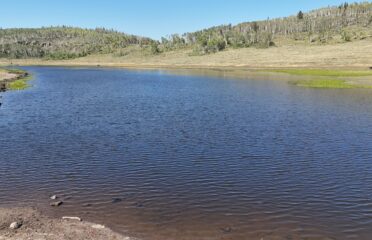 Big Lake